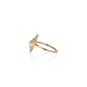 Courage The Lion Ring - Charlie and Marcelle