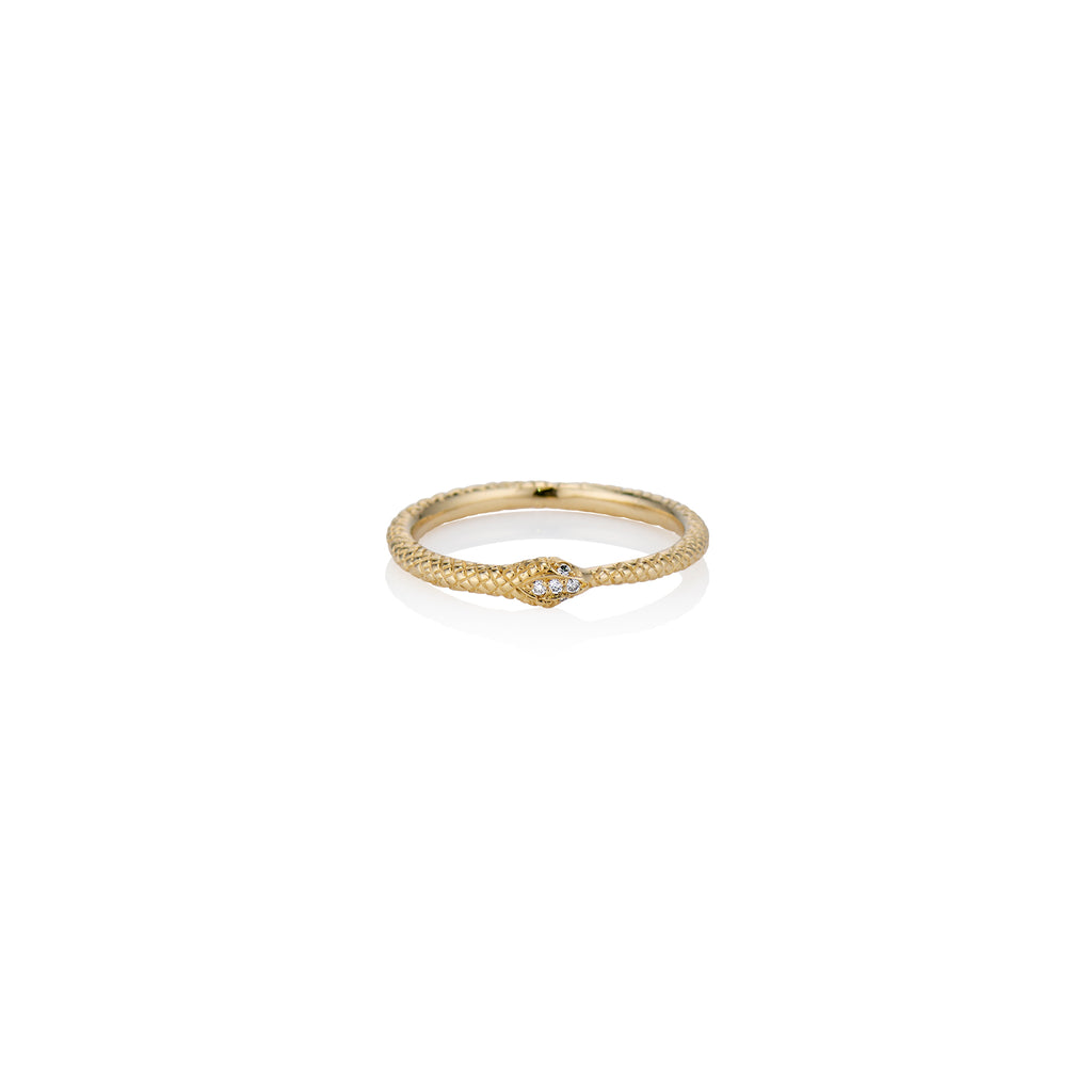 Moyenne Ouroboros Snake Ring