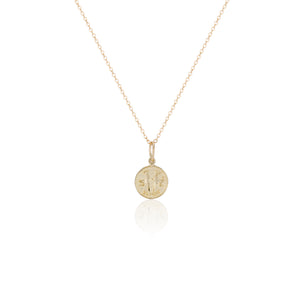 Treasure Coin Zodiac Charms