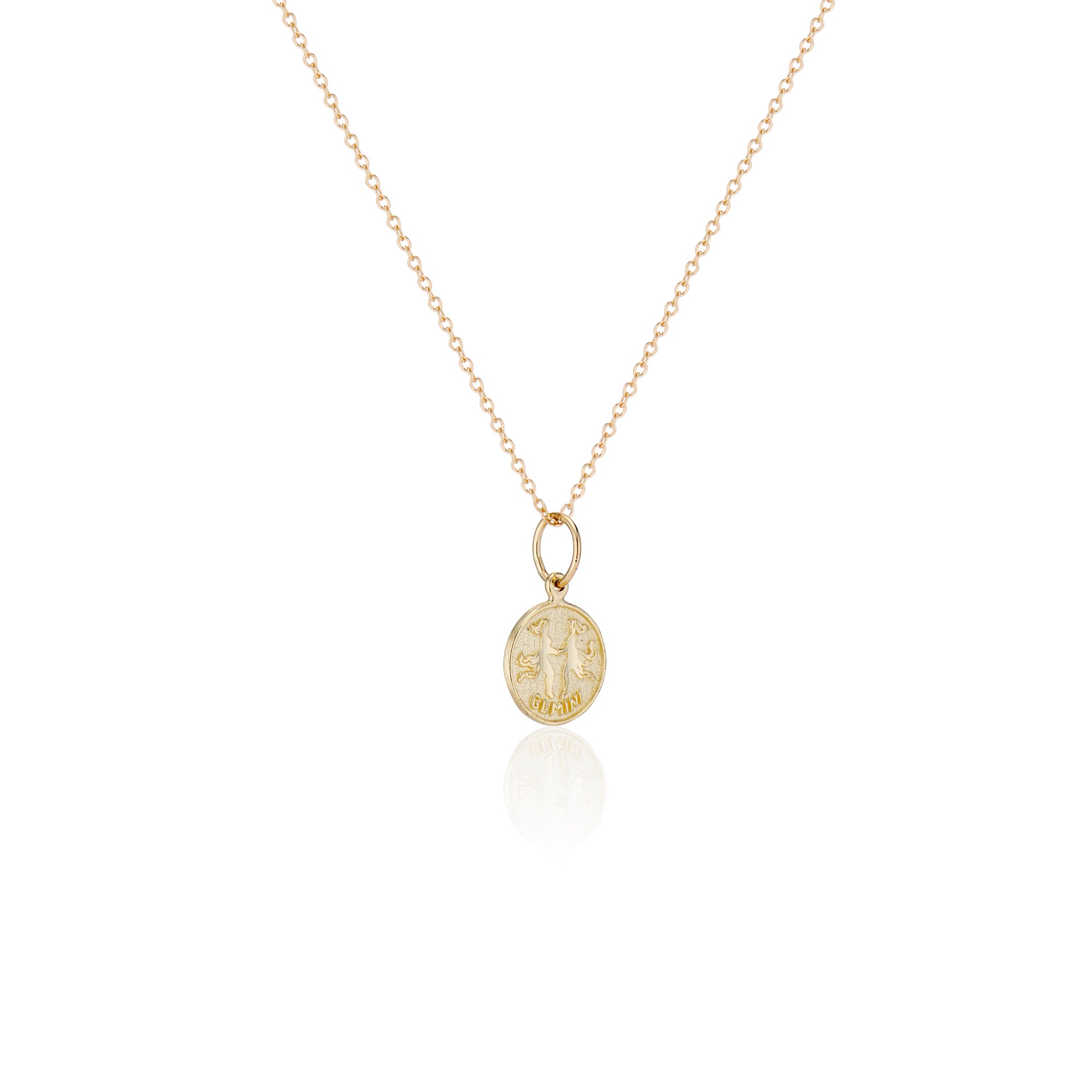 Treasure Coin Zodiac Charms