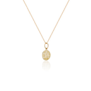 Treasure Coin Zodiac Charms