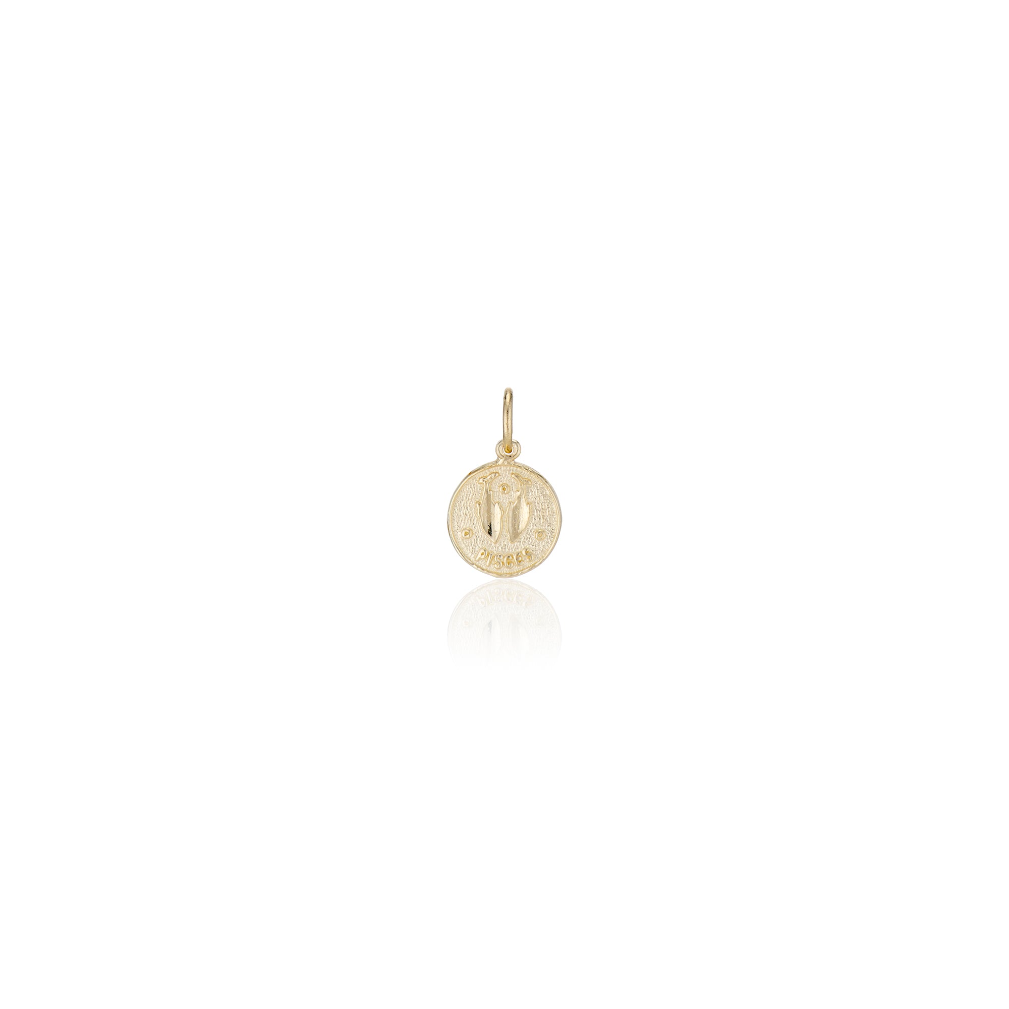 Treasure Coin Zodiac Charms