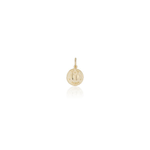 Treasure Coin Zodiac Charms