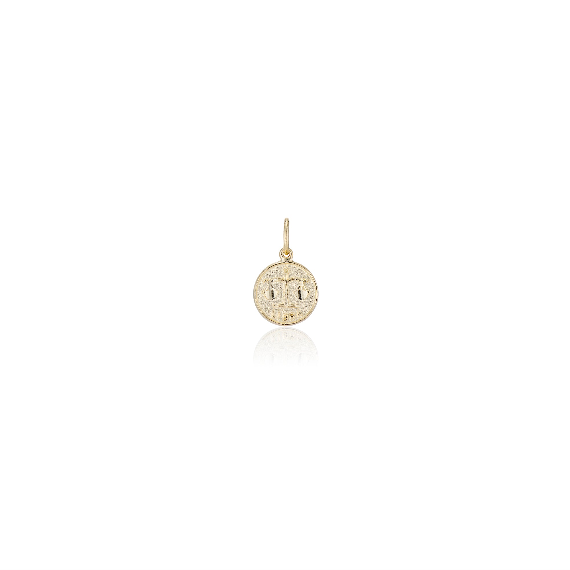 Treasure Coin Zodiac Charms