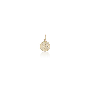 Treasure Coin Zodiac Charms