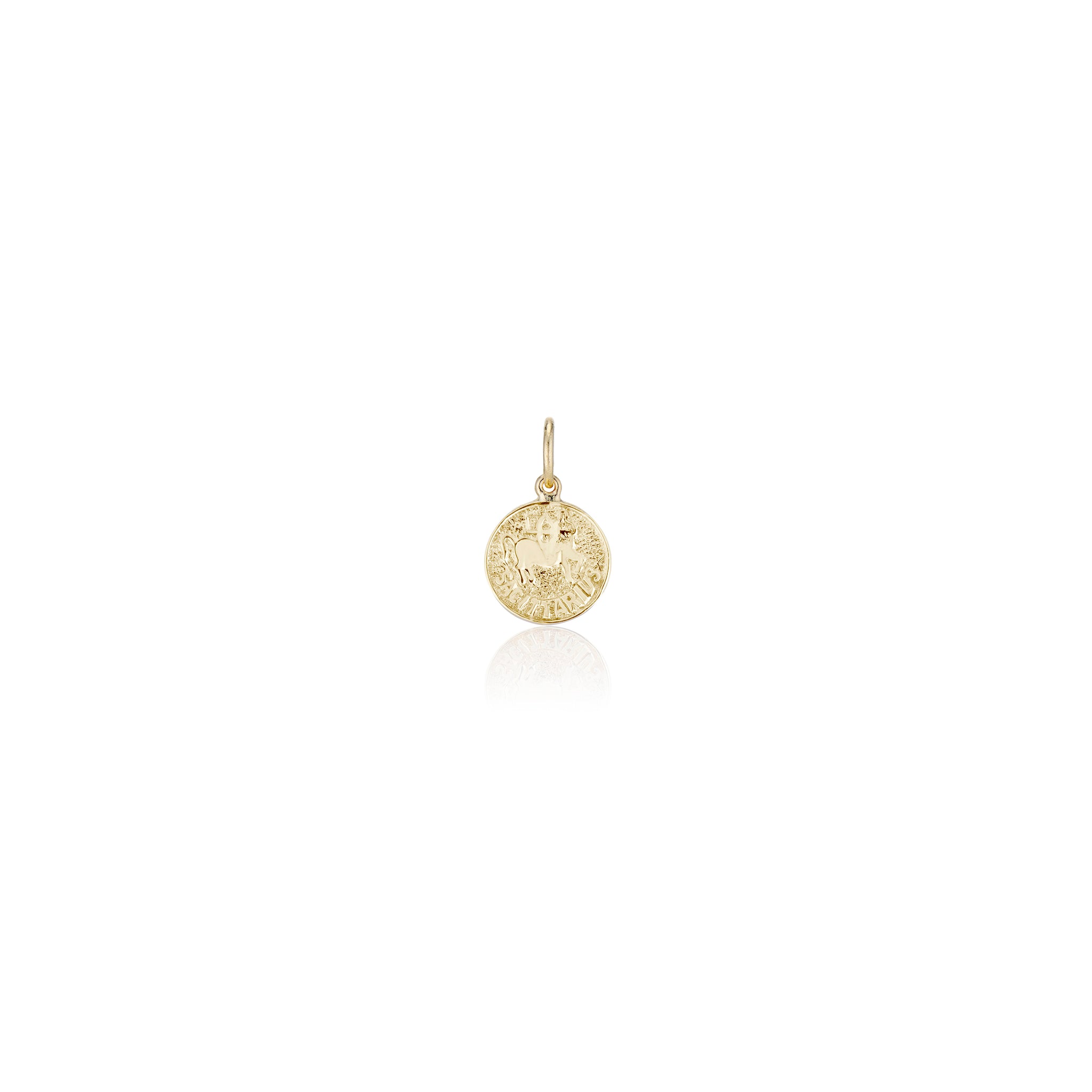 Treasure Coin Zodiac Charms