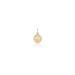 Treasure Coin Zodiac Charms