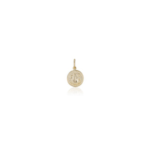 Treasure Coin Zodiac Charms