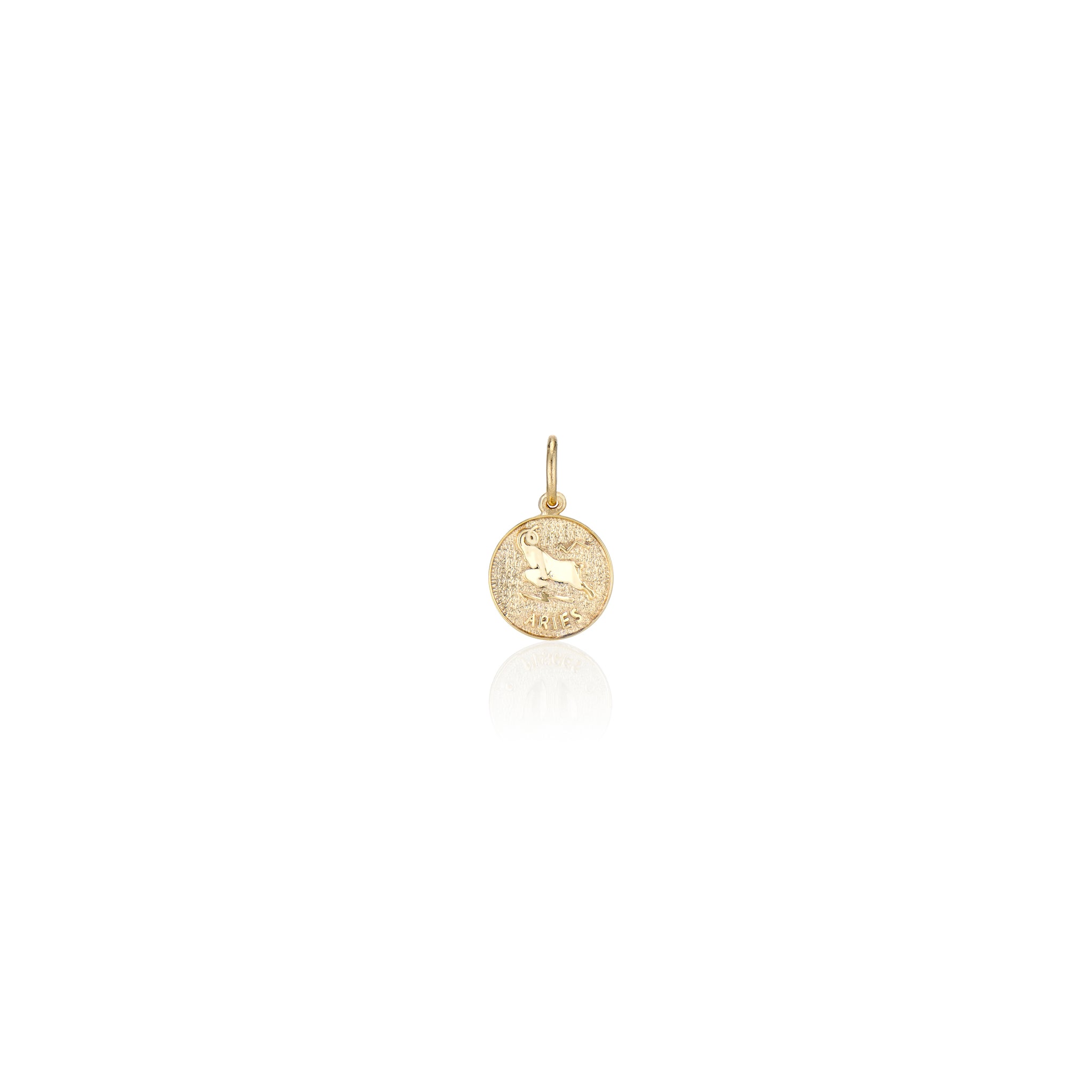 Treasure Coin Zodiac Charms