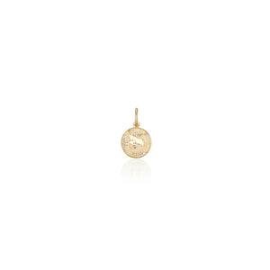 Treasure Coin Zodiac Charms