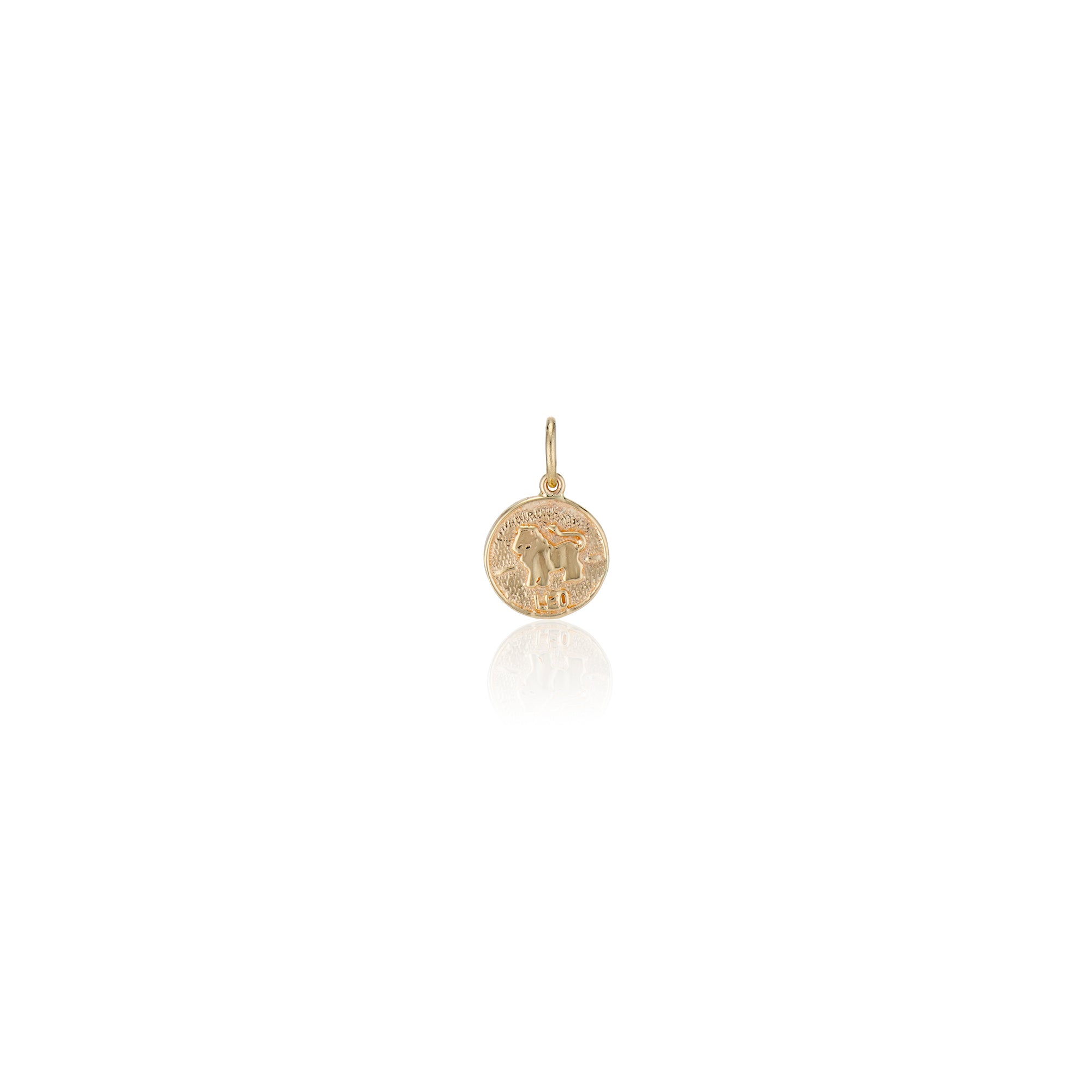 Treasure Coin Zodiac Charms