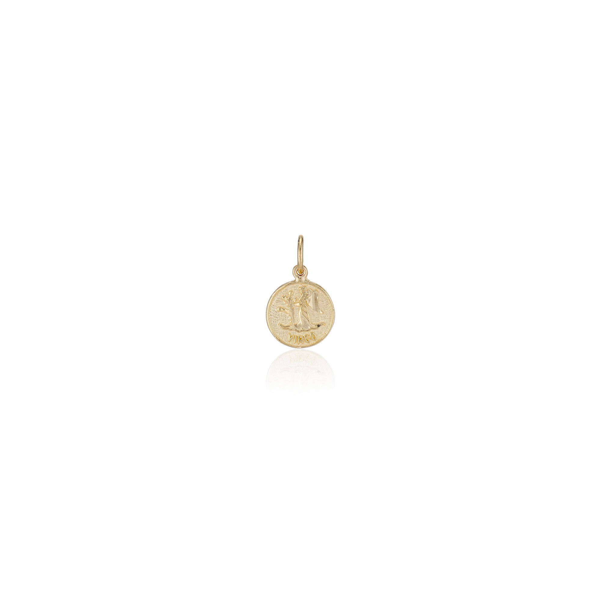 Treasure Coin Zodiac Charms
