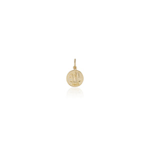 Treasure Coin Zodiac Charms