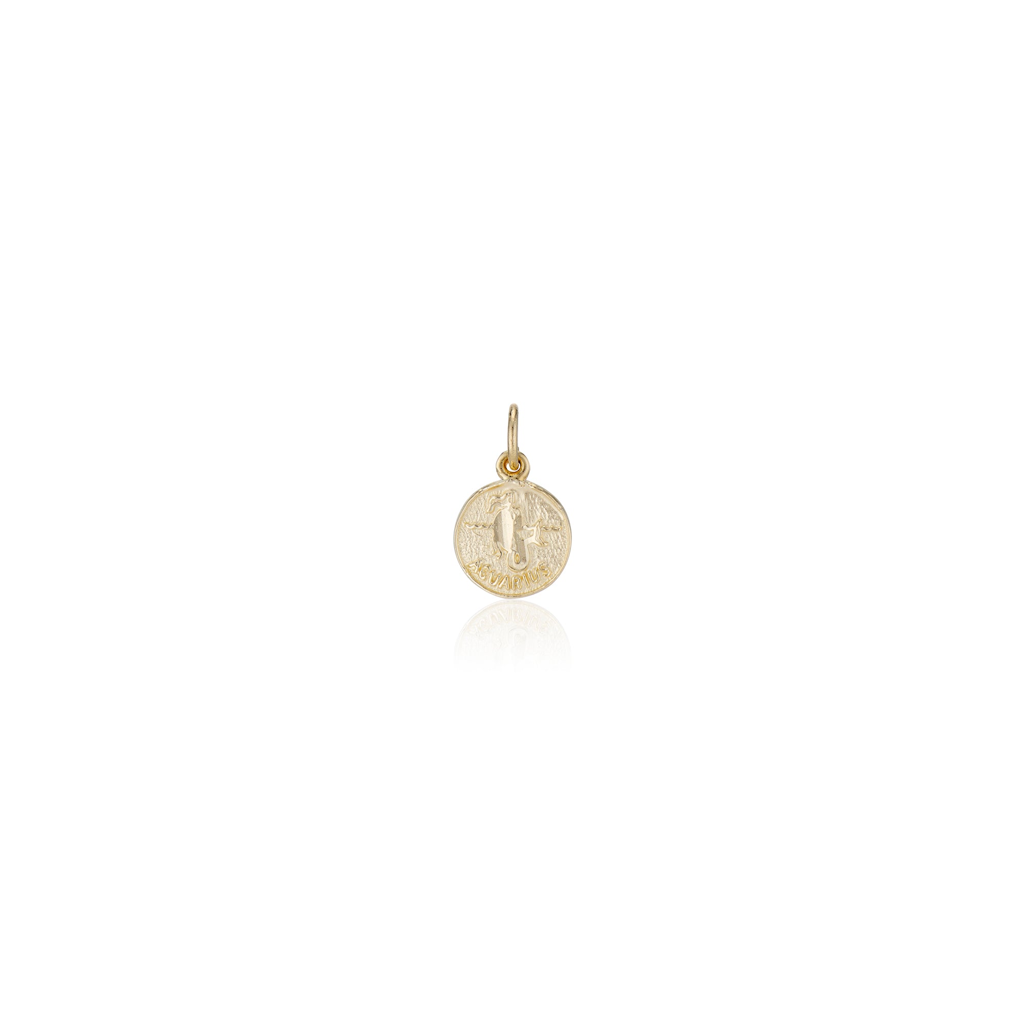 Treasure Coin Zodiac Charms