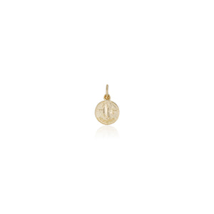 Treasure Coin Zodiac Charms