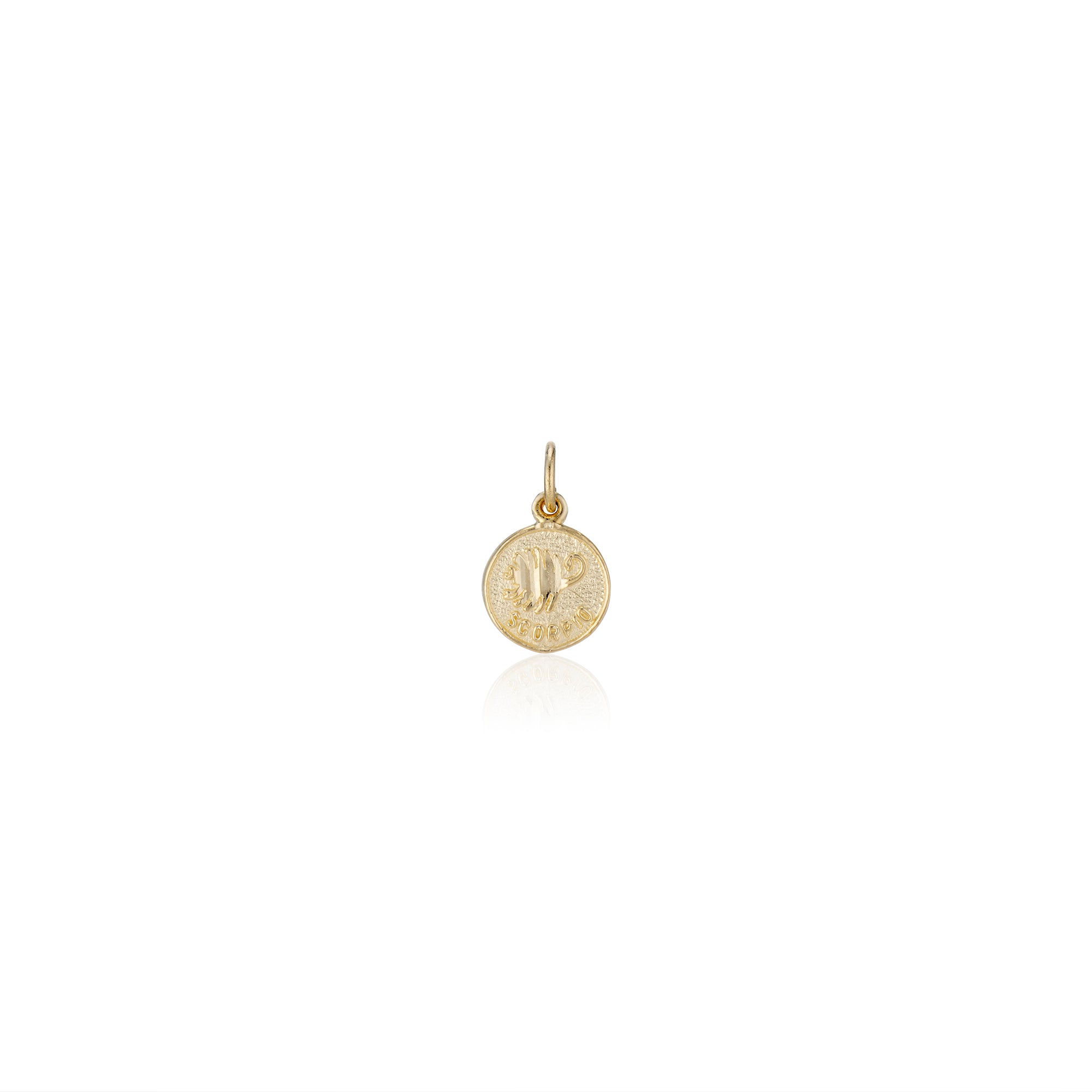 Treasure Coin Zodiac Charms