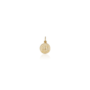 Treasure Coin Zodiac Charms